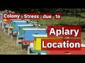 Colony Stress due to Apiary Location | Beekeeping Academy | Ep. 92