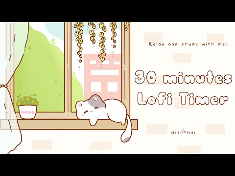 30 minutes - Relax & study with me Lofi | Cat by the window #timer #30minutetimer  #lofi #relaxing