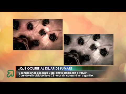 Qué ocurre al dejar de fumar ?