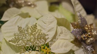 NJIT's Virtual Holiday Celebration