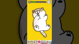 #shorts  こちょこちょをすると様々な表情を見せてくれる猫ちゃんが可愛すぎた 【こちょねこ】