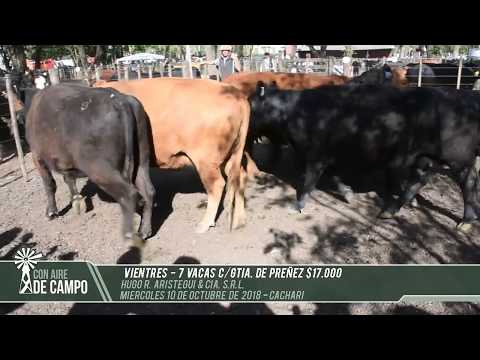 Resumen del remate de Hugo R Aristegui - Miércoles 10 de octubre de 2018 - Cachari