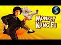 Monkey Kung Fu Kung Fu Full Movie Gangs Are About To Get Wrecked