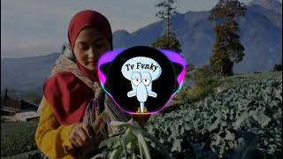 Download lagu DJ YANG PENTING HALAL // WALI BAND// FULL BASS 2021 mp3