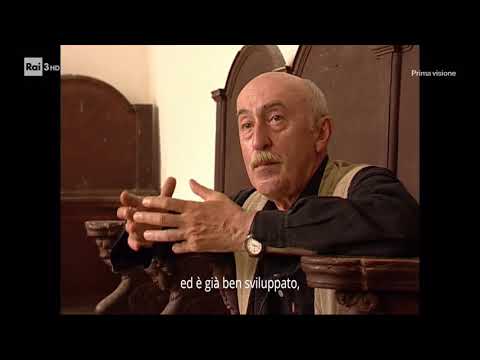 Il vento del cinema (2001) Prima Parte