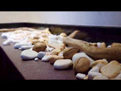 星滙 - 足浴.養生 The Sparkle - Professional Massage Therapy (Tsim Sha Tsui, Hong Kong)