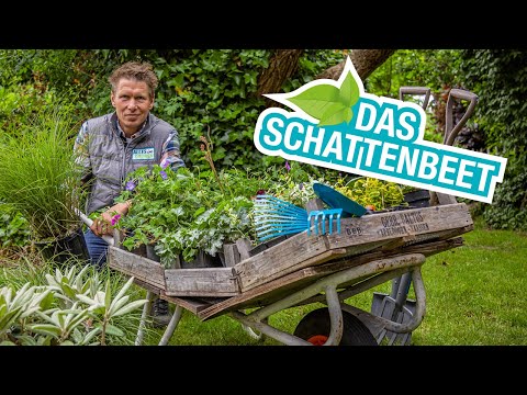 Der Schattengarten: Schattenbeete gestalten und anlegen