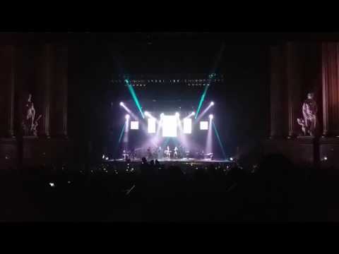 Pies de duende frágil - Santiago Cruz / Río Roma