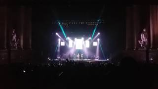 Pies de duende frágil - Santiago Cruz / Río Roma