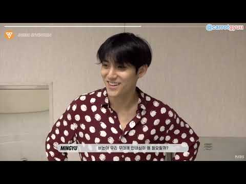 [ENG SUB] INSIDE SEVENTEEN 2020 SVT 4th FAN MEETING ＜SEVENTEEN in CARAT LAND＞DANCE PRACTICE BEHIND