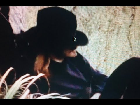 Pedja Vranesevic : JA ODEM U POLJE (1972) from TV Show -"What is This?MAD !"