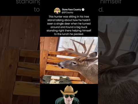 This hunter was sitting in his tree stand talking about how he hadn't seen a single deer when he