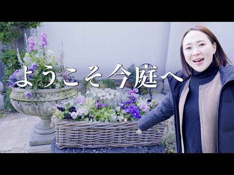 園芸 ウィンターヘーゼル、ニセヘーゼル、長耳のハシバミ