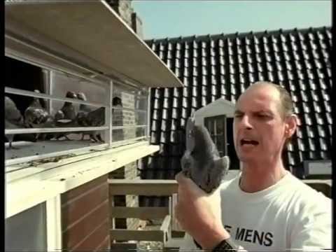 download lagu mp3 mp4 Dat Zeg Ik Gamma, download lagu Dat Zeg Ik Gamma gratis, unduh video klip Dat Zeg Ik Gamma