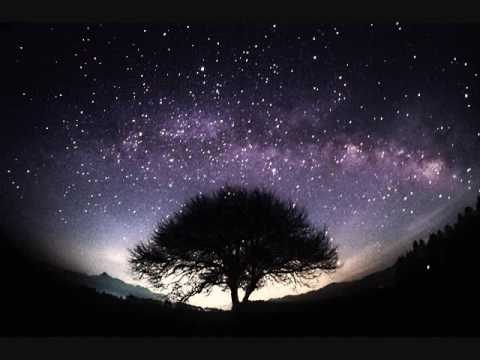 Stars I Shall Find (NJMEA All-State Choir)