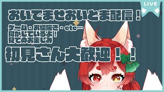 【おいとま配信】初見歓迎！なにをやっているかは覗いてから！！