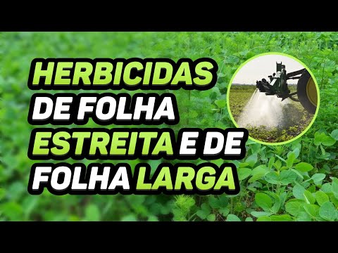 , title : 'A DIFERENÇA ENTRE HERBICIDAS DE FOLHA ESTREITA E DE FOLHA LARGA'