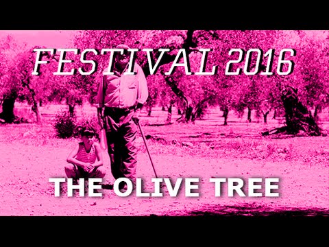 The Olive Tree (2016) Trailer