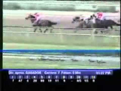 5Y6 EN VIDEO SAB 2 JULIO TACONTENTO 1V JOSE IBAÑEZ