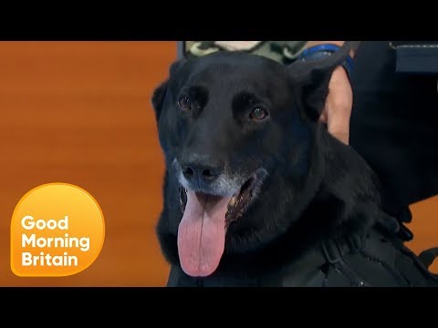 The Dog Who Protected Obama From White House Intruder | Good Morning Britain