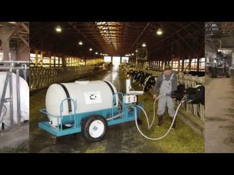 How to Properly Drench a Cow