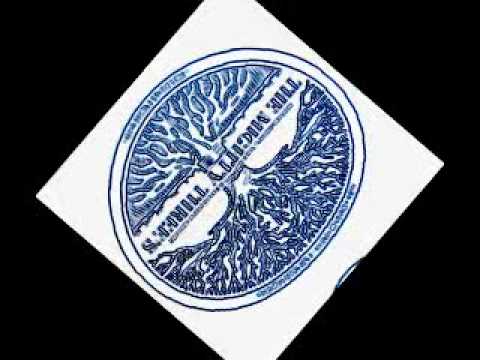 Mighty Threes - Back Yard Movement