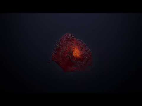 Stunning Mathematics