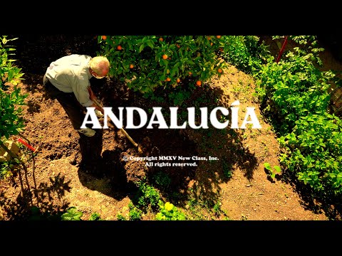NEW CLASS - ANDALUCÍA (Video Oficial)