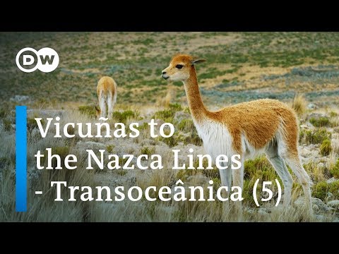 From Rio to Lima – Transoceânica, the world's longest bus journey (5/5) | DW Documentary