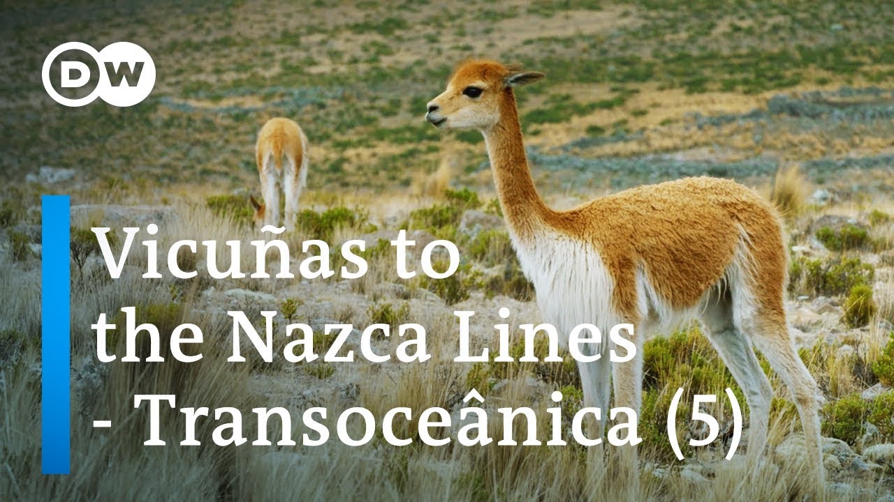 From Rio to Lima – Transoceânica, the world’s longest bus journey (5/5)