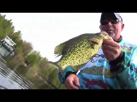 Unleashed-'Big black Canadian Slab'