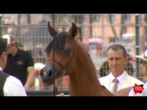 N.5 HDM BELLA CIAO - Menton 2019