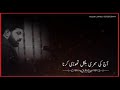 Shahadat Maula Ali A S 20 Ramzan Status Allama Asif Raza Alvi 21 Ramzan Status