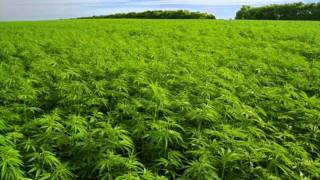 Rival Schools - World Invitational