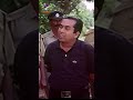Cheyyi Thi Cheyyi Thiii Brahmanandam Comedy Scene Anaganaga Oka Roju RGV Shorts