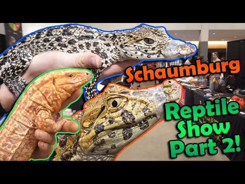 Schaumburg Reptile Show- What we Got!