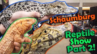 Schaumburg Reptile Show- What we Got! by Snake Discovery