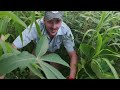 What is a Bush Pilot? - Missionary Bush Pilot, Backcountry182, CC Pocock
