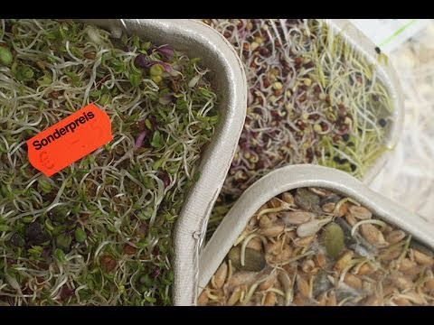 Germany's E. coli damage