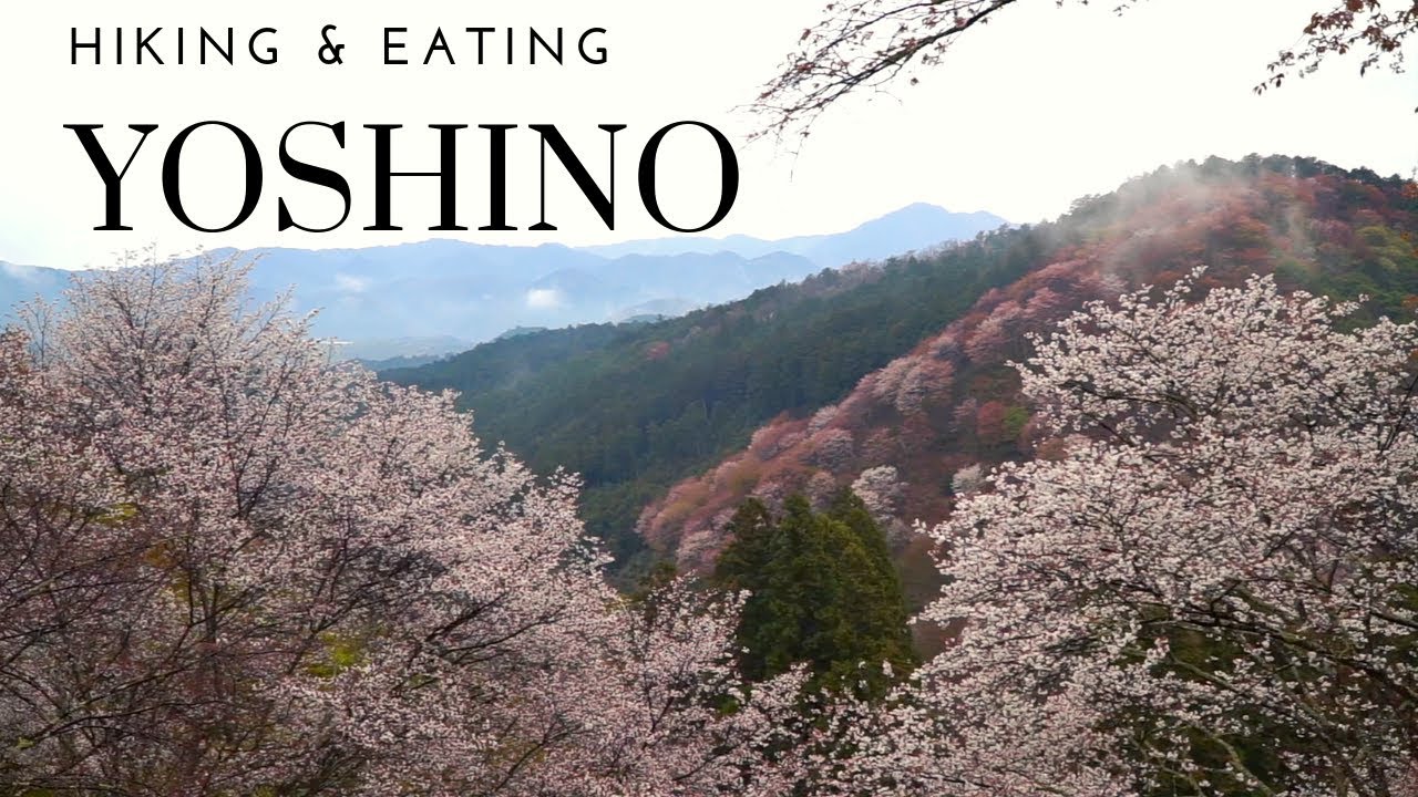 Adventure-seekers revel in the majestic beauty of Mount Yoshino.