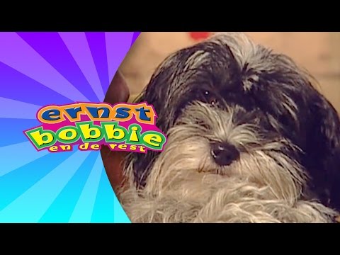 Liedjes met Ernst en Bobbie - Mijn Lieve Kleine Hond