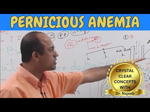 Pernicious Anemia | Diagnostic Features | Pathophysiology 🩺