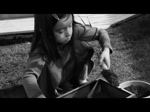 Canon EOS 5D Mark III - COLOR OF HOPE