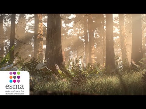 Alone a wolf's winter - ESMA 2020 (Teaser)