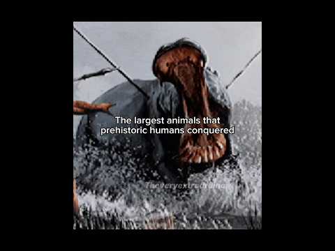 The largest animals that prehistoric humans conquered #prehistoric #earlyhumans #iceage