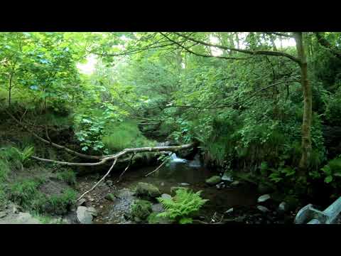 Holme - Yateholme round 4K (walk) 24 May 18 (18a)