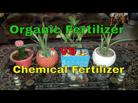 Comparison between organic fertilizer and chemical fertilize...