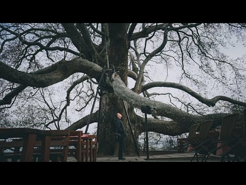 Ngaji Jomblo 09: Melamar (Khitbah)