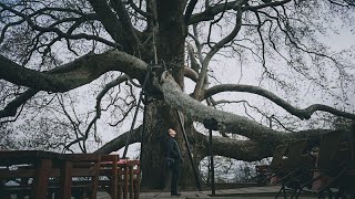 Download lagu Ngaji Jomblo 09: Melamar (Khitbah) mp3