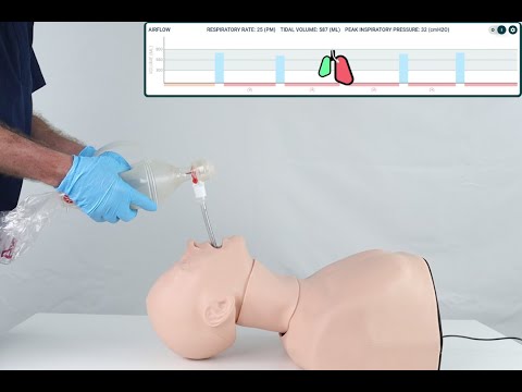 Smart Airway Adult